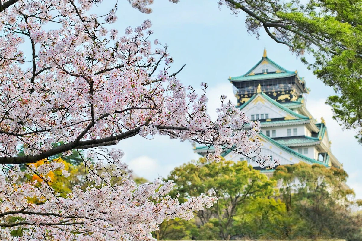 Jepang Wisata Hits Asia: Destinasi Terbaik untuk Petualangan Tak Terlupakan